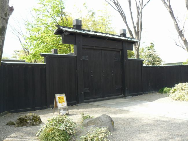 ���c�s�F������