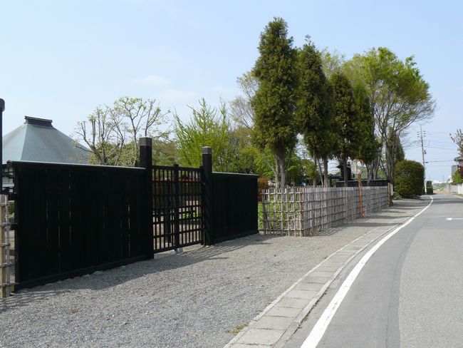 ���c�s�F������