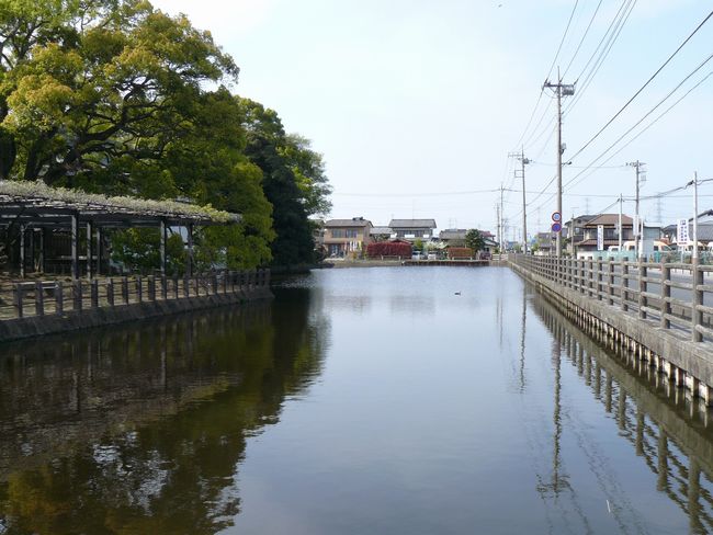 ���c�s�F������