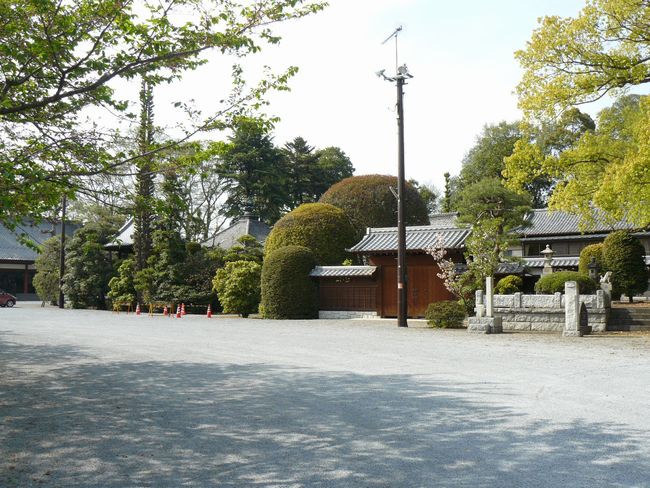 ���c�s�F������