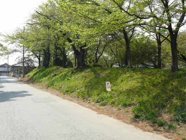 ���c�s�F������