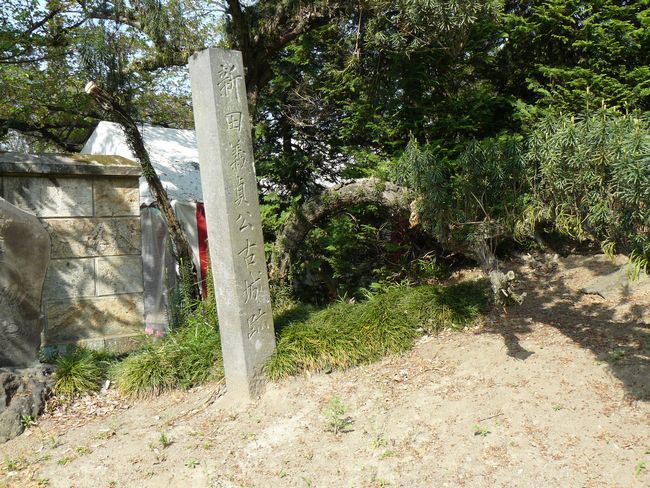 ���c�s�F������