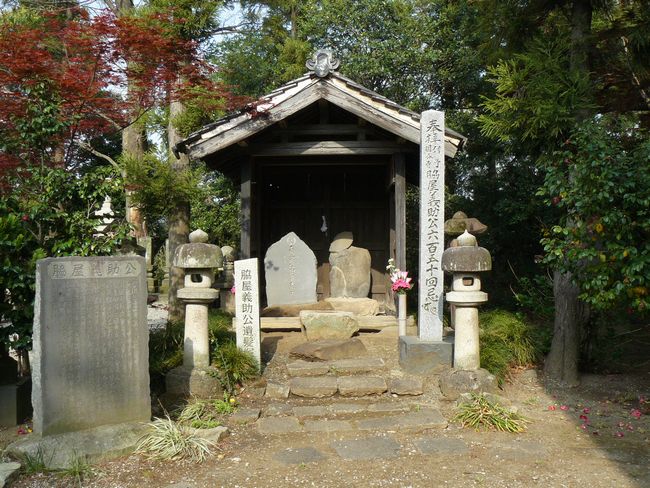 ���c�s�F���@��