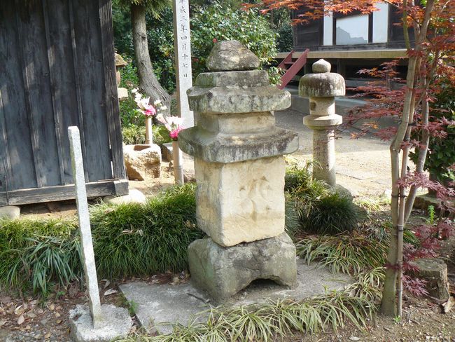 ���c�s�F���@��