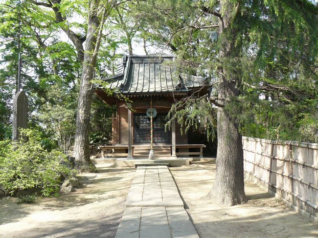 ���c�s�F�Ɩ���