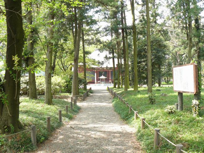 ���c�s�F���y��