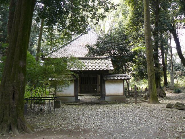 ���c�s�F���y��