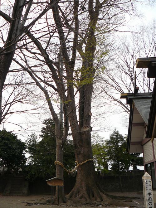 �a��s�F�����_��