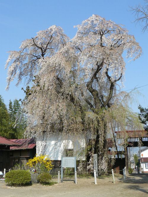 �a��s�F������