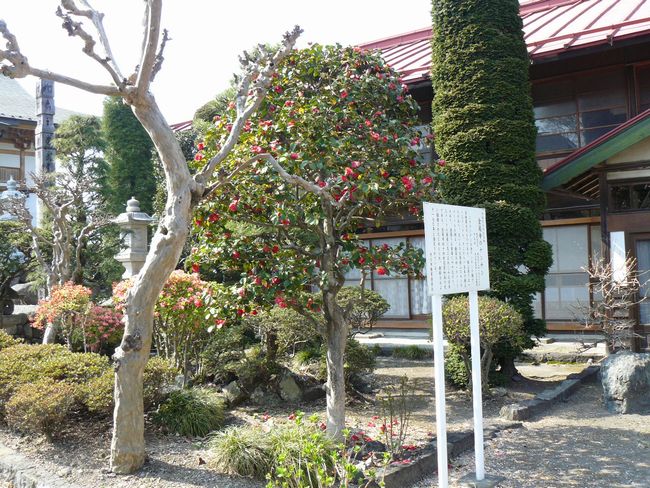 �a��s�F������