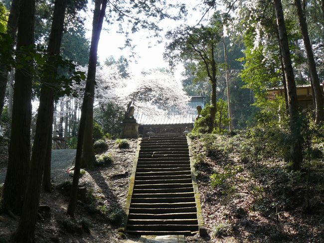 �a��s�F�b�g�h�H�_��