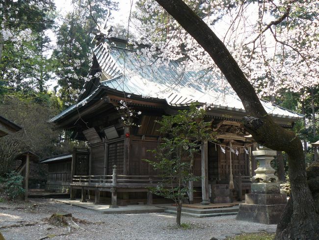 �a��s�F�b�g�h�H�_��