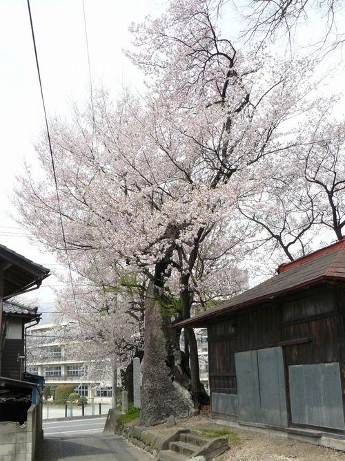 �a��s�F���X�̃q�K���U�N��