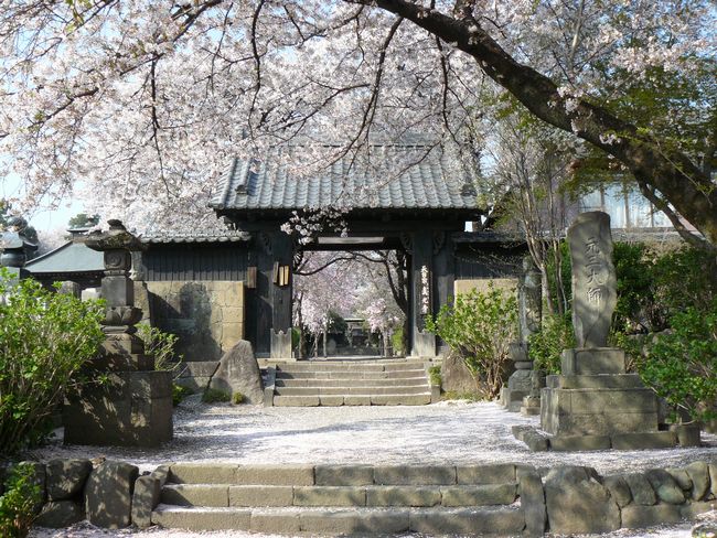 �a��s�F�^����