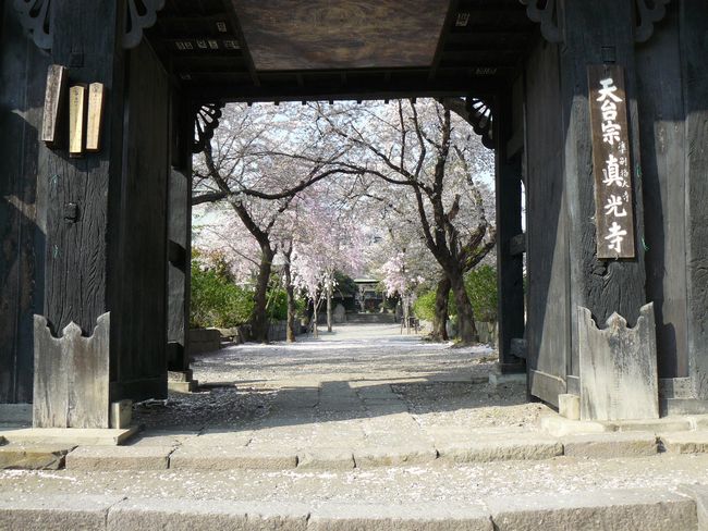 �a��s�F�^����