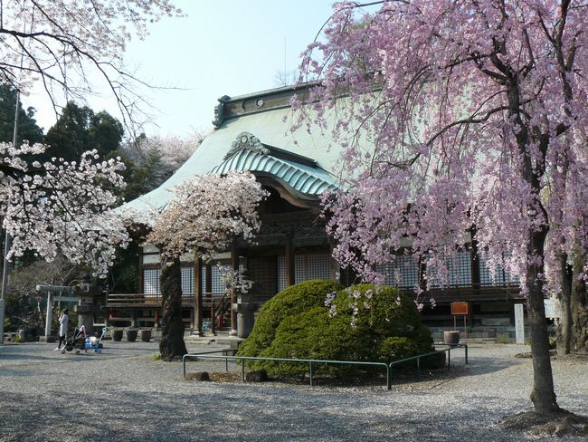 �a��s�F�^����