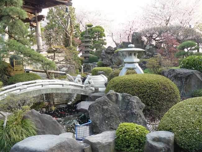 ����h�F�����@