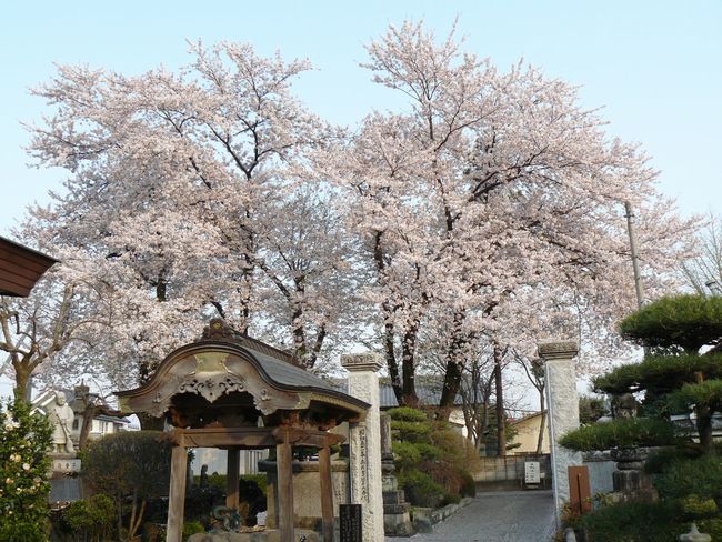 ����h�F�����@