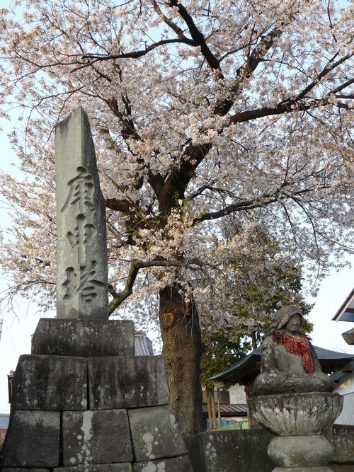 ����h�F�P������t���E�،����~�q