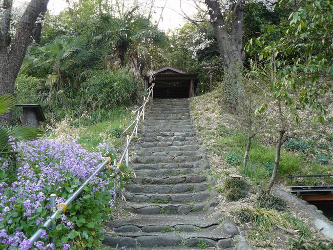 ����h�F�_���{