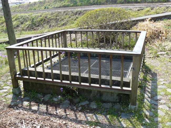 �a��s�F�ԗю�