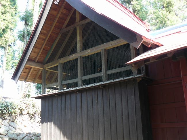 �a��s�F�����_��