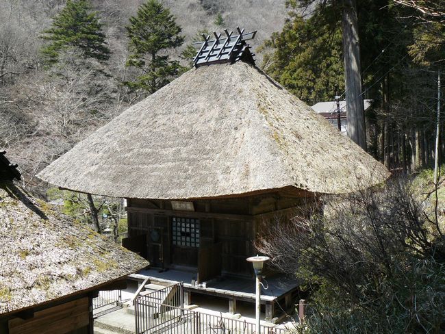 ���V�𒬁F��������t���E����