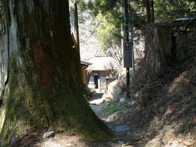 ���V�𒬁F��������t���E�Q��