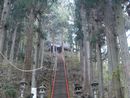 中之嶽神社参道の石段（階段）と杉並木
