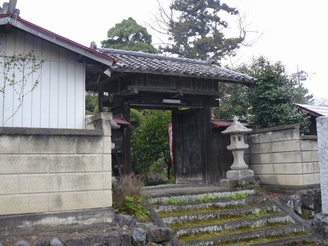 ���m�c���F������