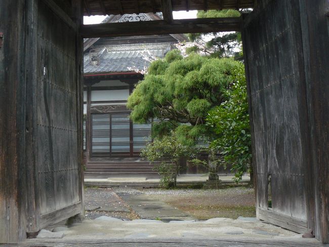 ���m�c���F������