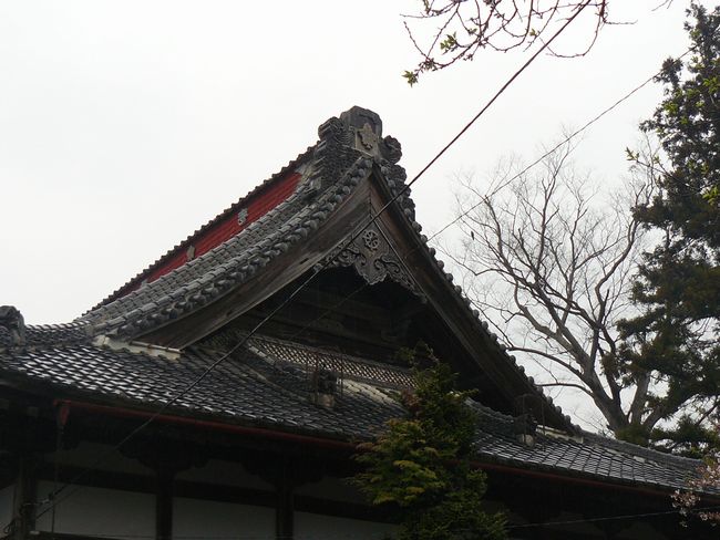 ���m�c���F������