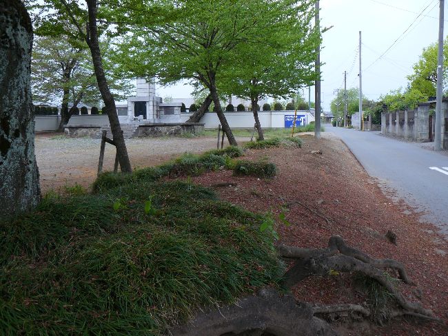 �W�y���F�����