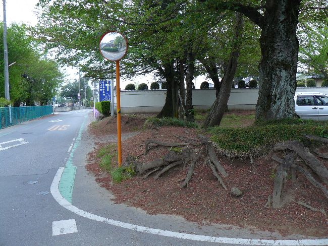 �W�y���F�����