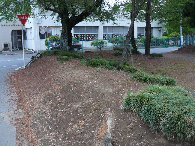 �W�y���F�����