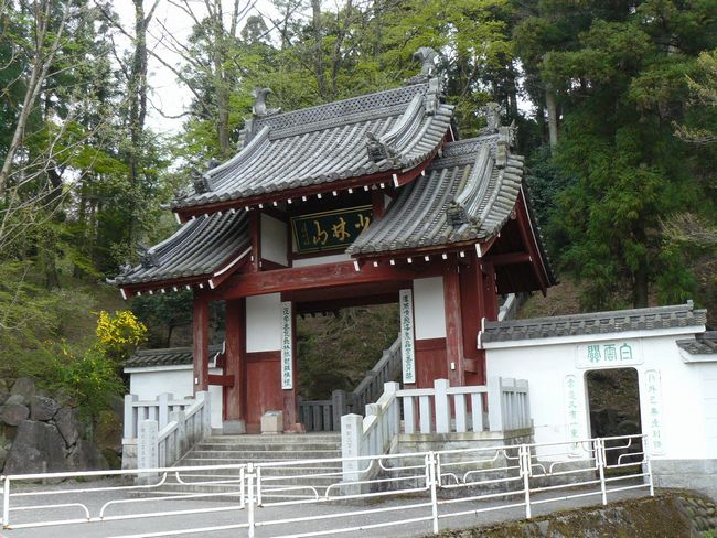 ����s�F�B����