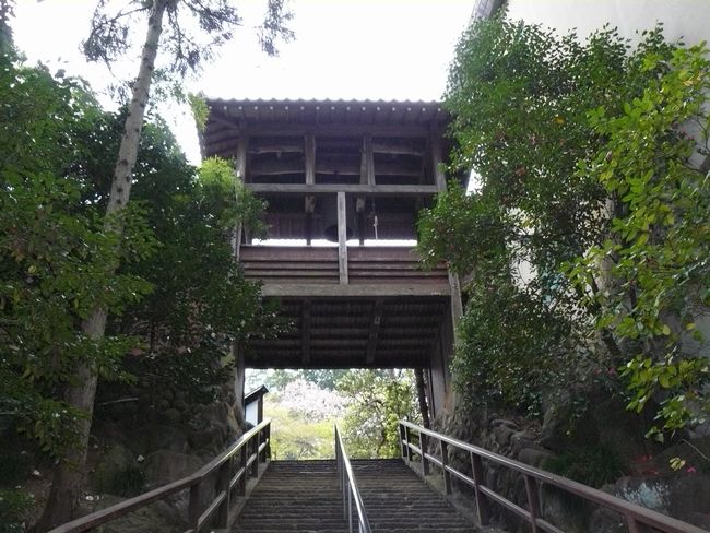 ����s�F�B����