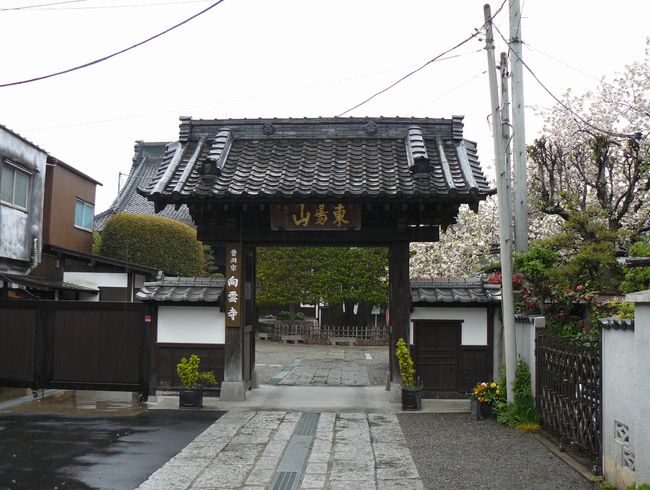 ����s�F���_��