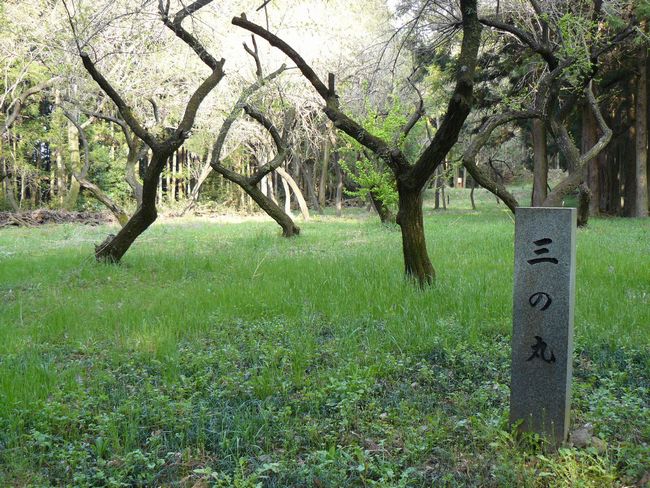 ����s�F���֏�