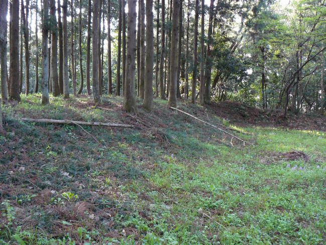 ����s�F���֏�