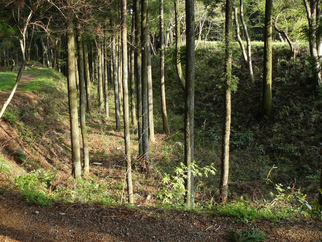 ����s�F���֏�