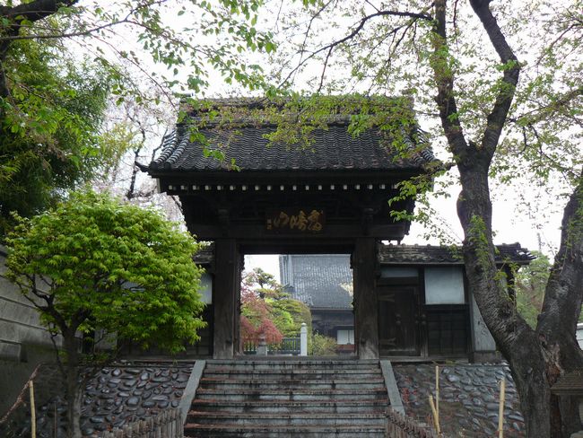 ����s�F���L��