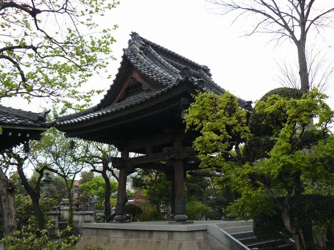 ����s�F���L��