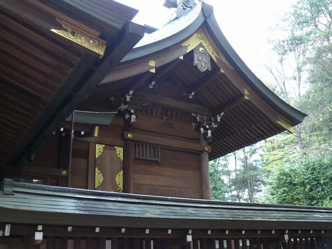 ����s�F�i�Y�_��