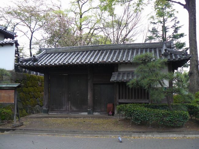 ����s�F�����