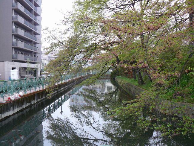 ����s�F�����