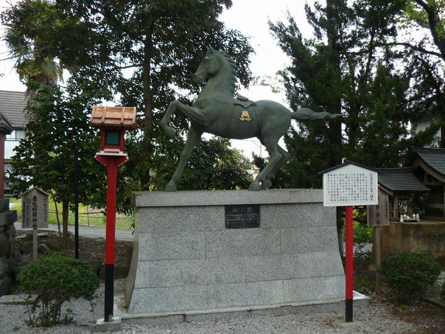 ����s�F�R�������{