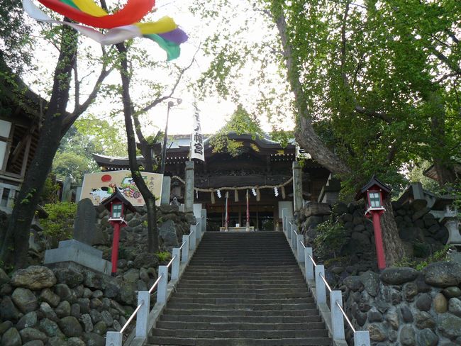 ����s�F�R�������{