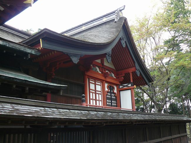 �ʑ����F�ʑ������{