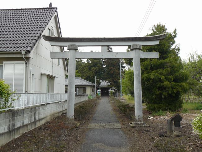 �ʑ����F�Η��_��